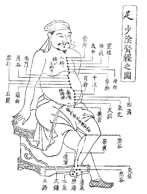 体質タイプのイメージ