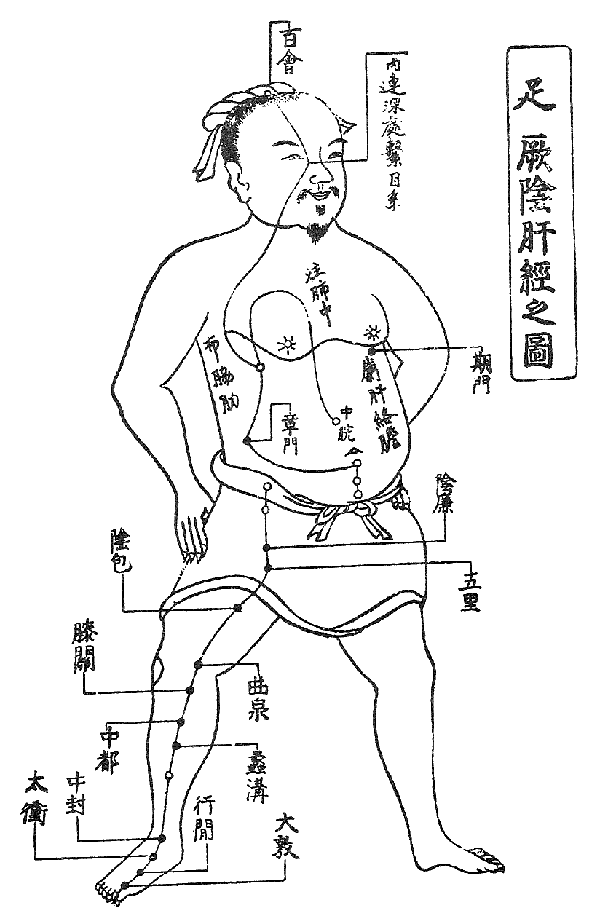 体質タイプのイメージ