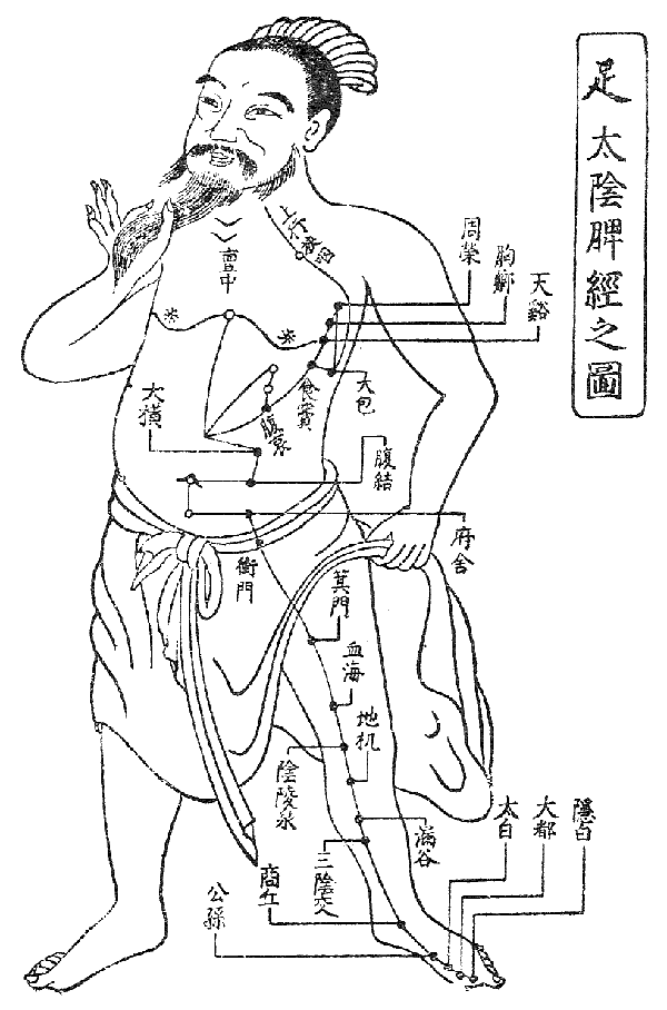 体質タイプのイメージ