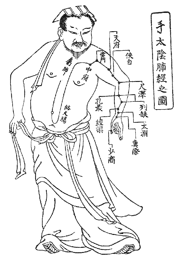 体質タイプのイメージ